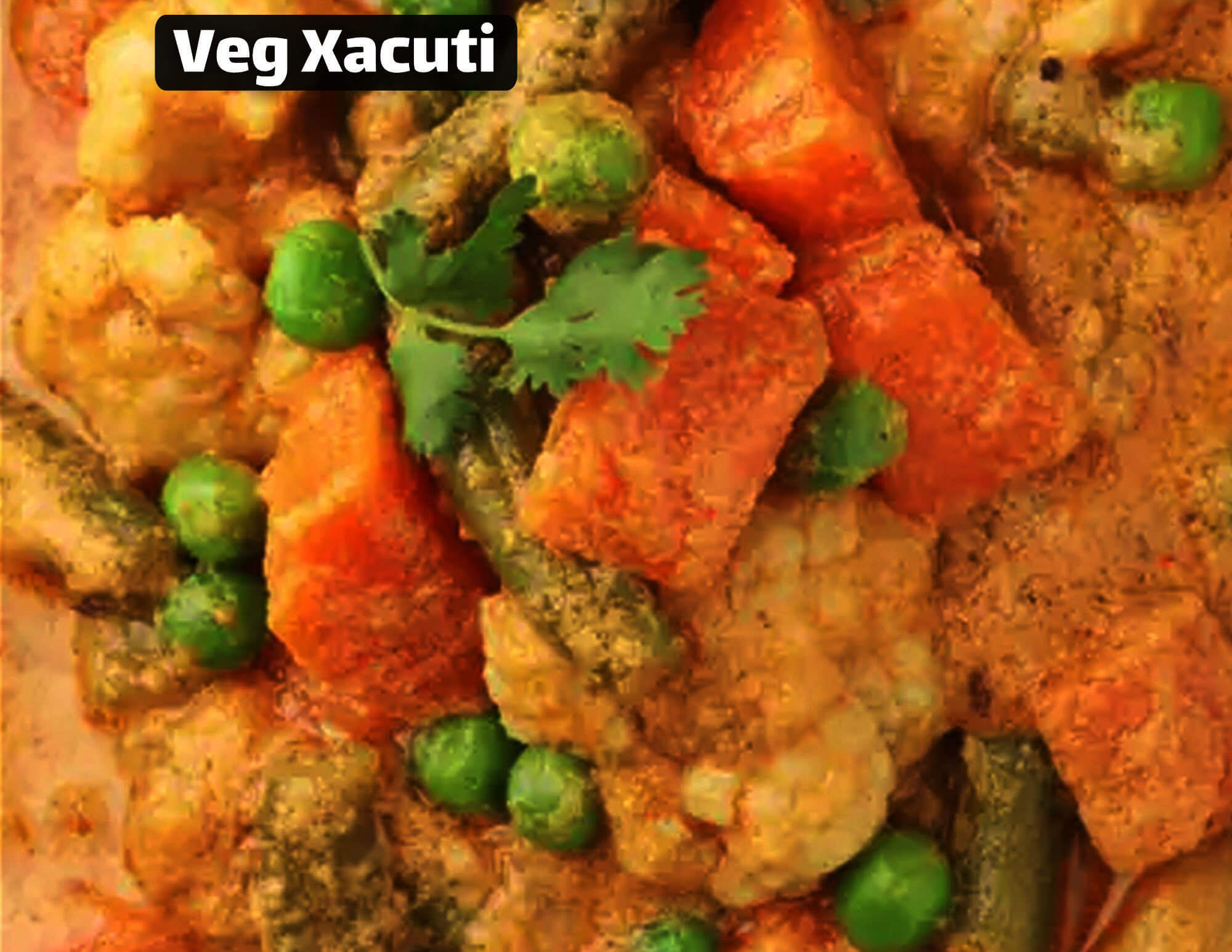 Veg Xacuti